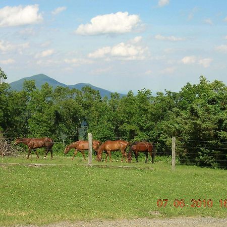 Bent Mountain Lodge Роаноук Екстериор снимка