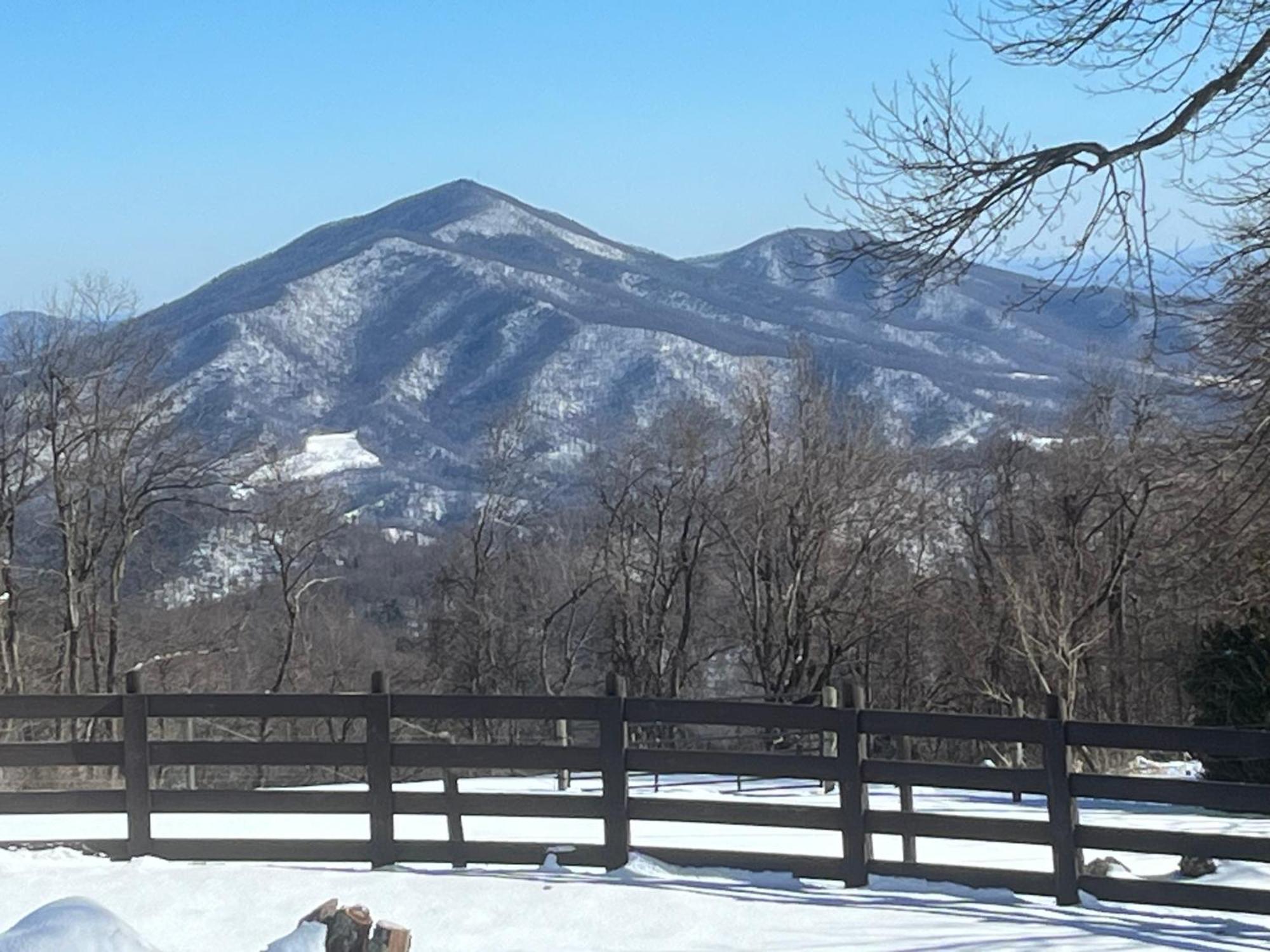 Bent Mountain Lodge Роаноук Екстериор снимка